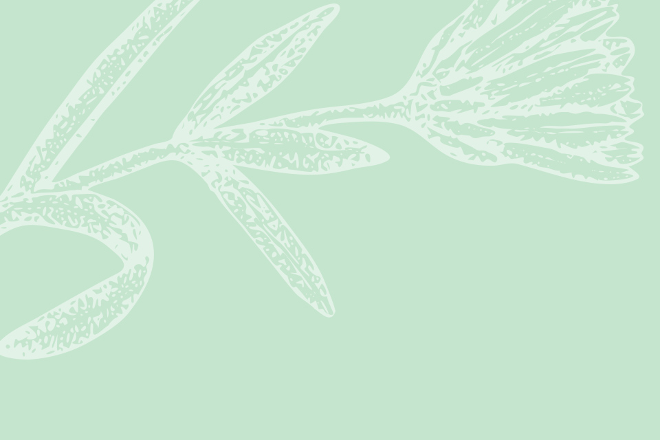 A green background with white leaves and branches.