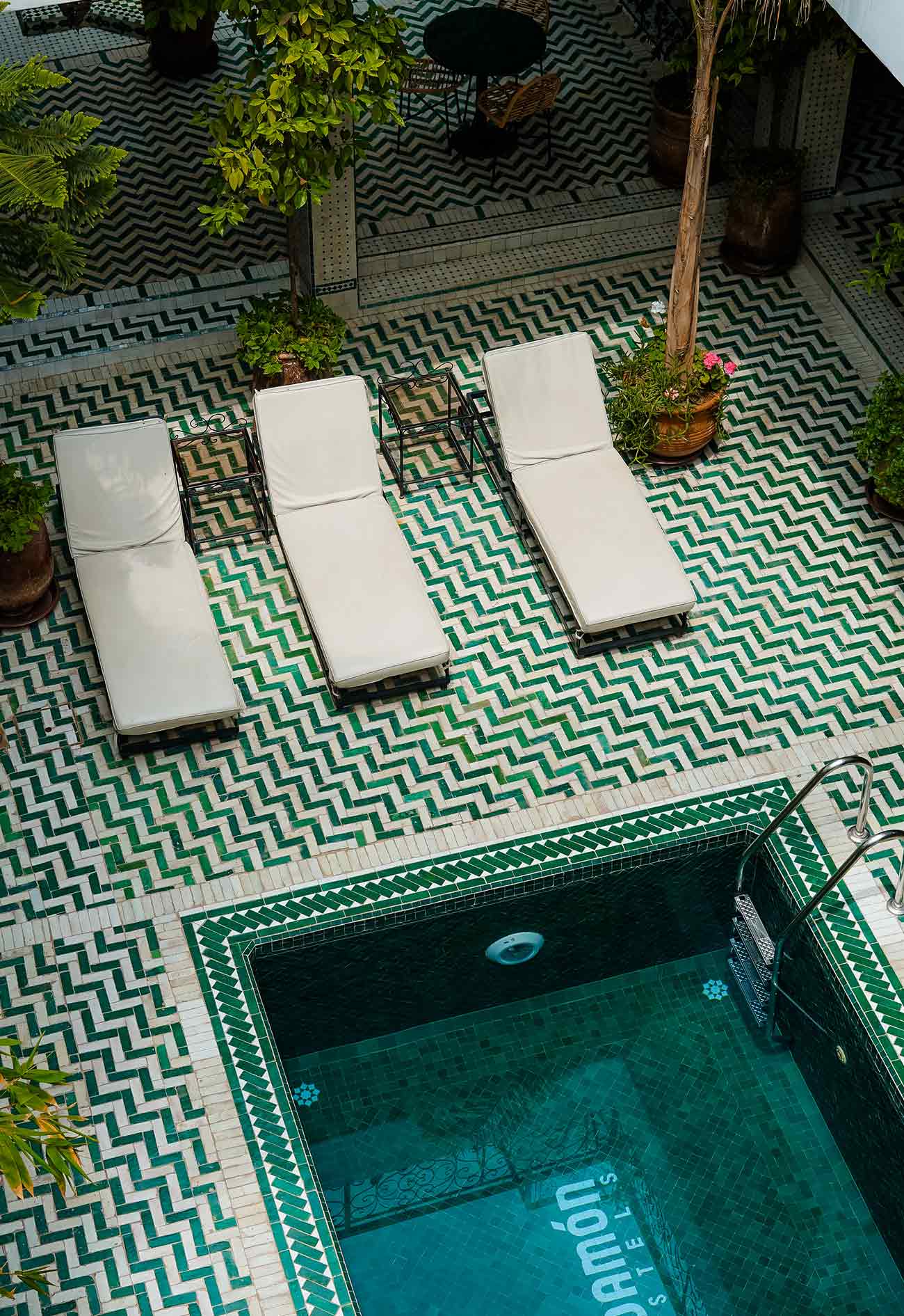 A pool with two chairs and three plants