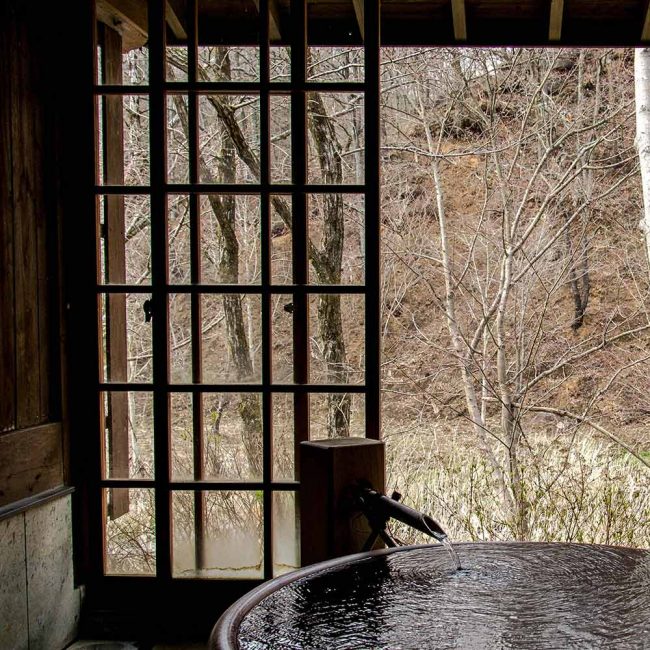 A bird sitting on the edge of an outdoor bath tub.
