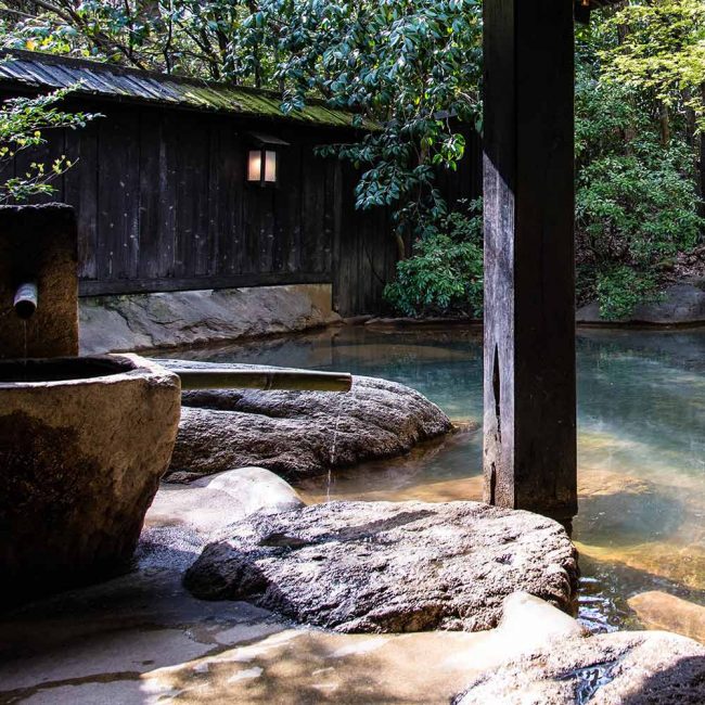 A pond with rocks and trees in the background